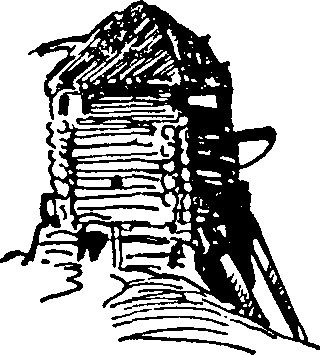 Ольга Гурьян - Набег