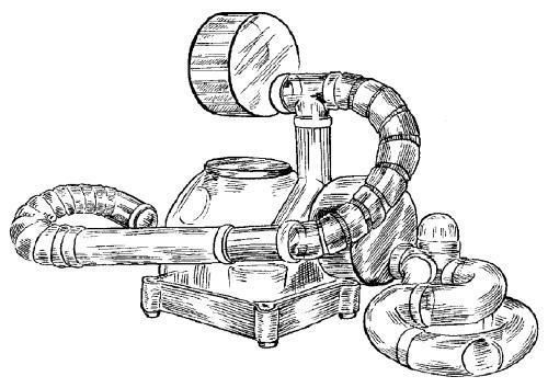 Дарья Нестерова - Хомячки