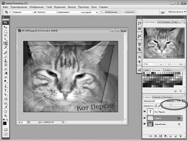Олег Мединов - Photoshop. Мультимедийный курс