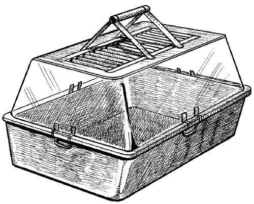 Дарья Нестерова - Хомячки
