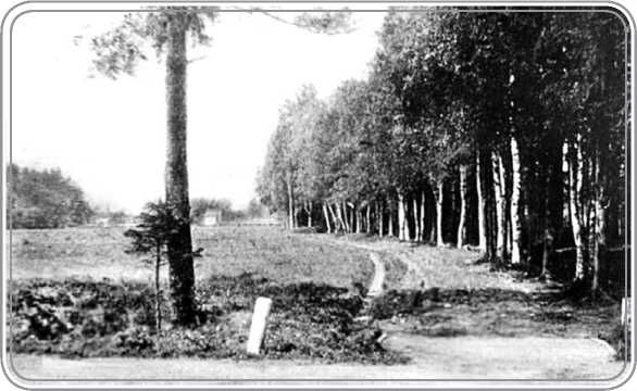 Андрей Гусаров - От Финляндского вокзала до Выборга. Из истории Финляндской...