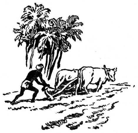 Евгений Штейнберг - Индийский мечтатель