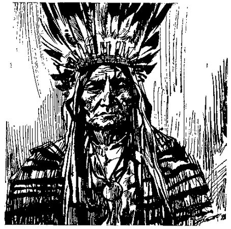 Джеймс Шульц - Ошибка Одинокого Бизона