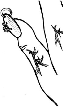 Алеся Гриб, Наталья Шешко - Мастер маникюра и педикюра