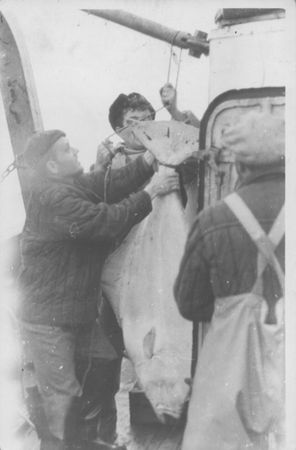 Владимир Коркош - Этот загадочный подводный мир