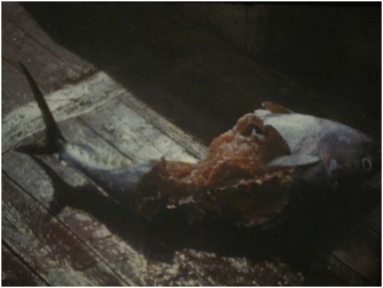 Владимир Коркош - Этот загадочный подводный мир