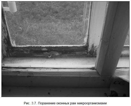 Андрей Кашкаров - Бывший горожанин в деревне. Курс выживания