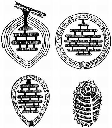 Рени Шовен - От пчелы до гориллы