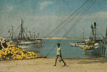 Вадим Листов - Отавало идет по экватору