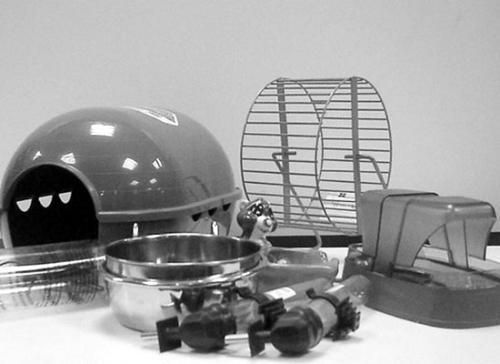 Дарья Нестерова - Хомячки