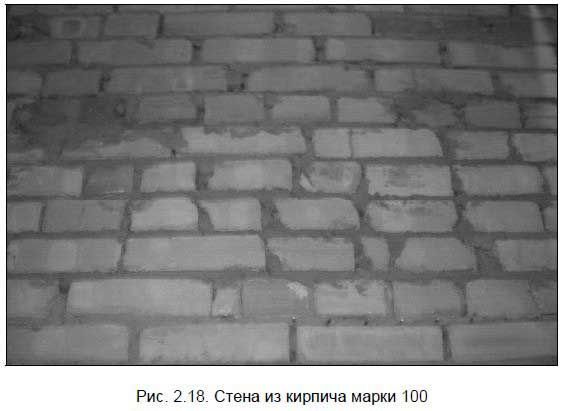 Андрей Кашкаров - Бывший горожанин в деревне. Курс выживания