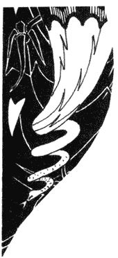 Сергей Ауслендер - Петербургские апокрифы