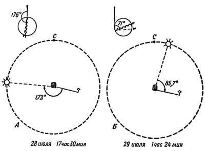 Рени Шовен - От пчелы до гориллы