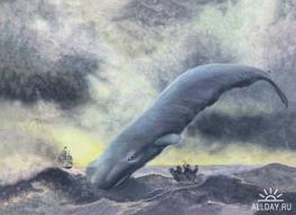 Владимир Коркош - Этот загадочный подводный мир