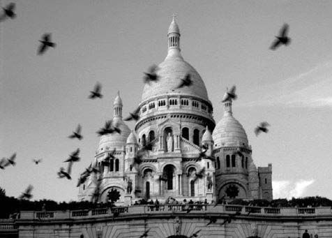 Александр Тягны-Рядно, Татьяна Щербина - Франция. Магический шестиугольник