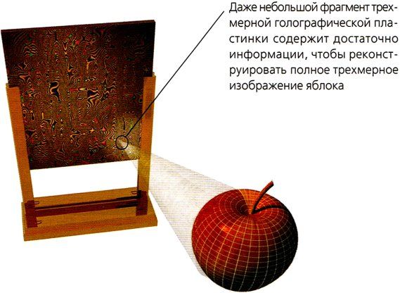Стивен Хокинг - Мир в ореховой скорлупке