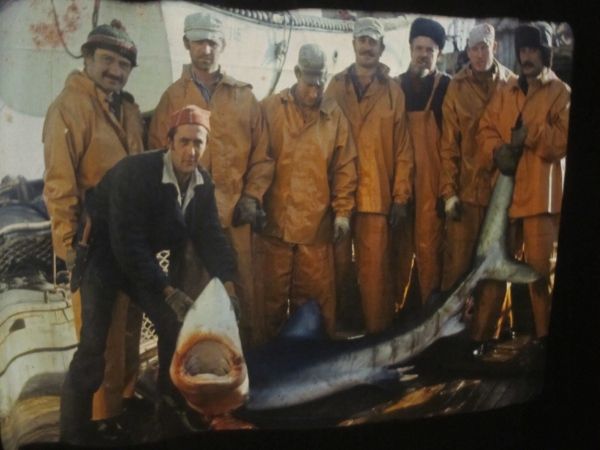 Владимир Коркош - Этот загадочный подводный мир