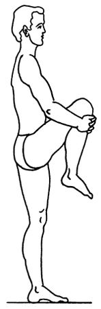 Геннадий Малахов - Биоэнергетика человека: пути повышения энергетического потенциала