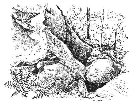 Татьяна Шнуровозова - Таинственные места России