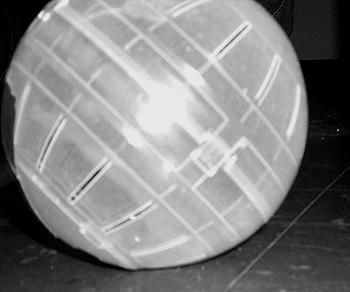 Дарья Нестерова - Хомячки