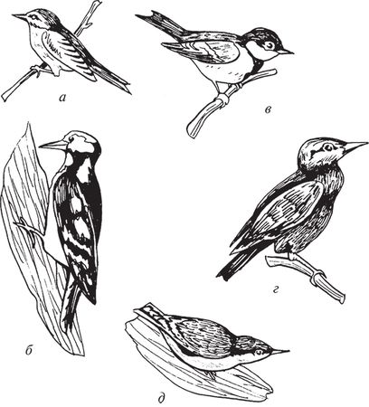 Сергей Кашин - Защита от болезней и вредителей сада и огорода. Эффективная...