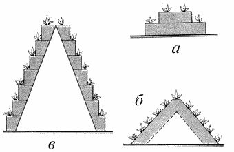 Владимир Щекин - Земляника на вашем участке