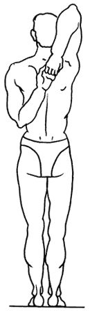 Геннадий Малахов - Биоэнергетика человека: пути повышения энергетического потенциала