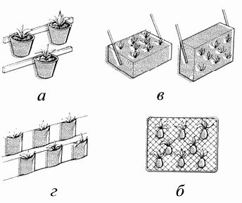 Владимир Щекин - Земляника на вашем участке