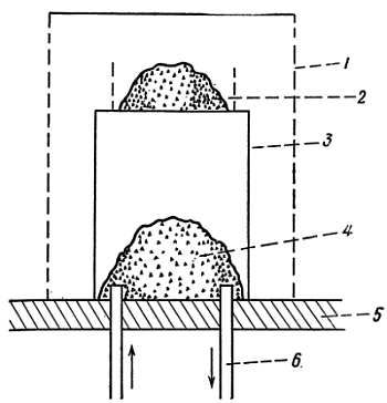 Рени Шовен - От пчелы до гориллы