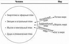 Дмитрий Верищагин, Кирилл Титов - Терапия истинной кармы