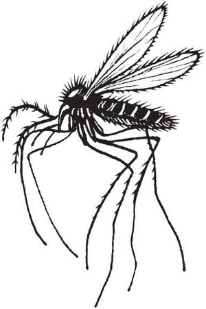 С. Каплун - Физика