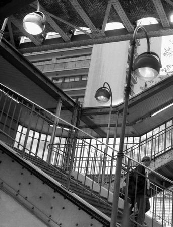 Александр Тягны-Рядно, Татьяна Щербина - Франция. Магический шестиугольник