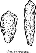 Геннадий Малахов - Жизнь без паразитов