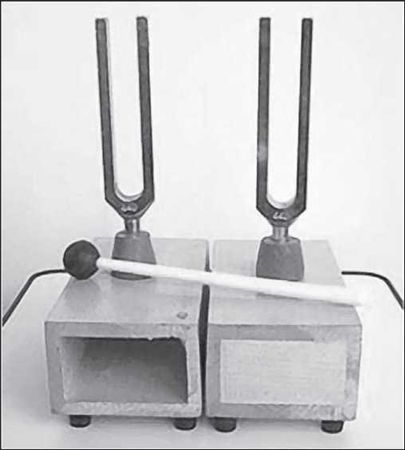 С. Каплун - Физика