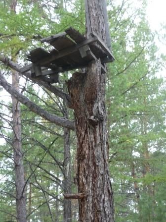 Андрей Ефремов - По следу снежного человека