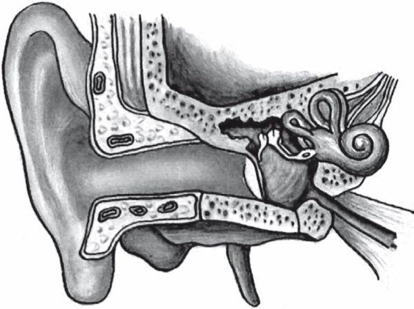 С. Каплун - Физика