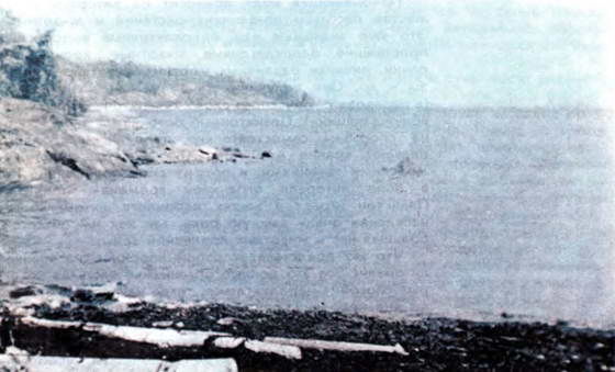 Донат Наумов - Мир океана. Море живет