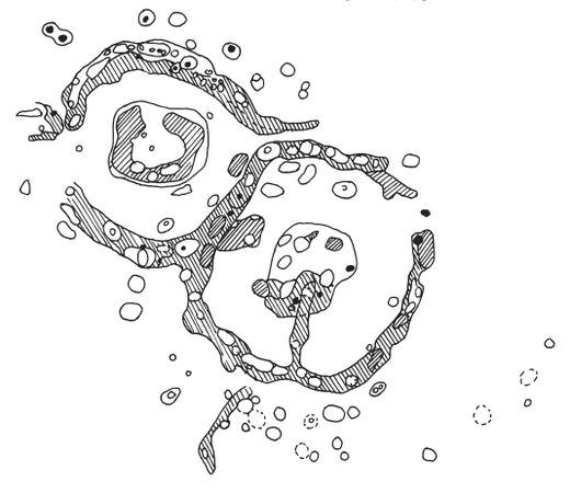 Татьяна Шнуровозова - Таинственные места России