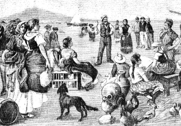 Елизавета Водовозова, Наталья Микляева и др. - Царство свободного ребенка....