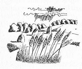 Исай Калашников - Разрыв-трава