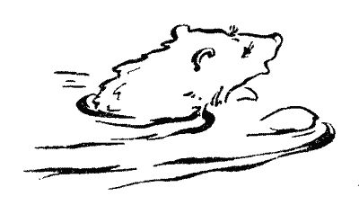 Мор Йокаи - 20 000 лет подо льдом