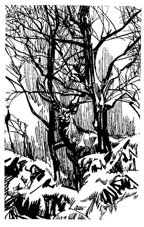 Джеймс Шульц - Ошибка Одинокого Бизона