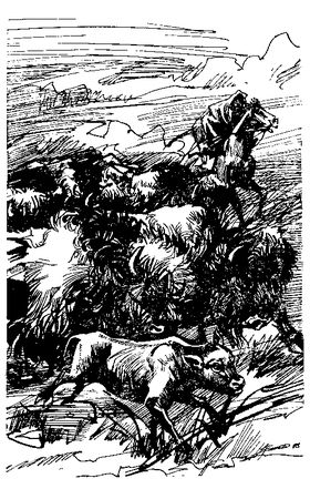 Джеймс Шульц - Ошибка Одинокого Бизона