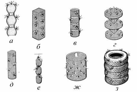 Владимир Щекин - Земляника на вашем участке