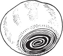 Сергей Кашин - Защита от болезней и вредителей сада и огорода. Эффективная...