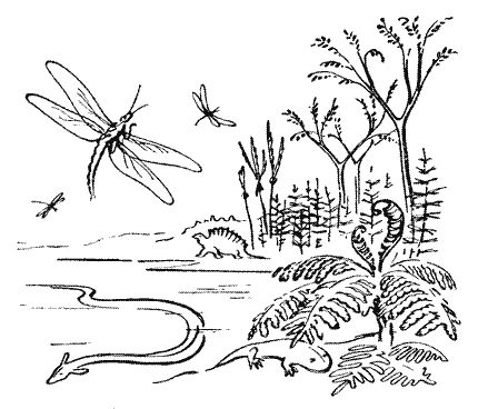 Мор Йокаи - 20 000 лет подо льдом