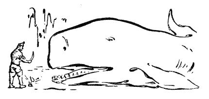 Мор Йокаи - 20 000 лет подо льдом