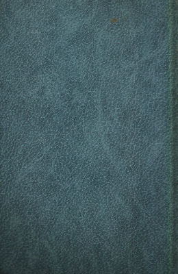 Павел Винтман - Голубые следы