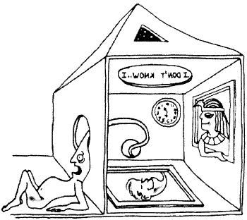 Роберт Уилсон - Психология эволюции