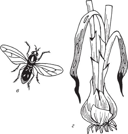 Сергей Кашин - Защита от болезней и вредителей сада и огорода. Эффективная...